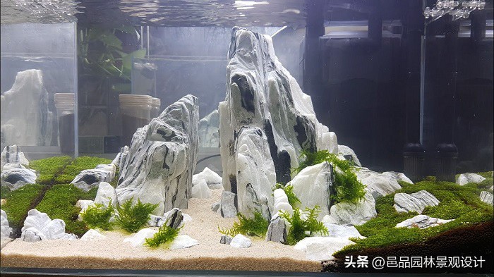 各種石頭景觀石圖片_景觀石的種類及圖片_石種有哪些