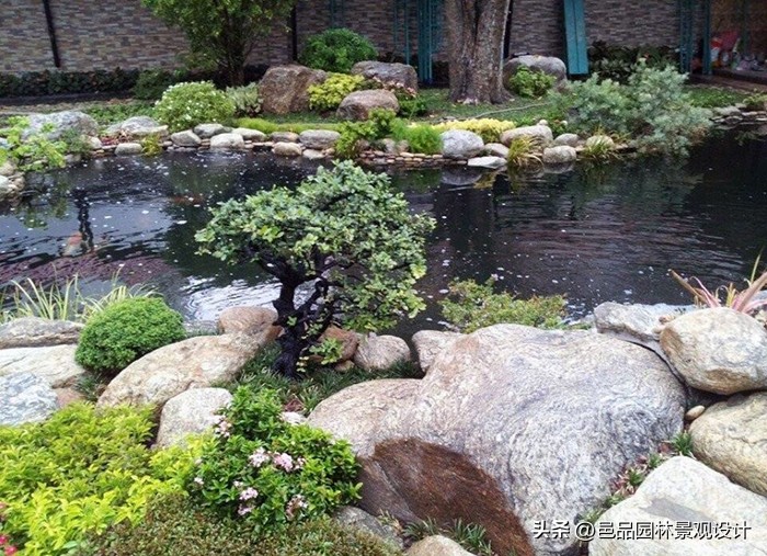 各種石頭景觀石圖片_景觀石的種類及圖片_石種有哪些
