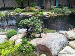 10種常用于花園裝飾的流行微型石頭
