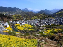 安徽靈璧，是一個什么樣的城市？
