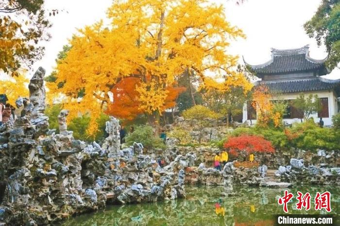 奇石山子是什么_奇石山子底座圖片_奇石山子