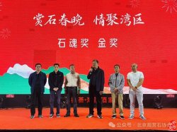 2020年獲金獎的奇石_金獎奇石圖片欣賞_獲金獎奇石