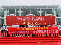 金獎奇石圖片欣賞_2020年獲金獎的奇石_獲金獎奇石