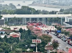 金獎奇石圖片欣賞_2020年獲金獎的奇石_獲金獎奇石
