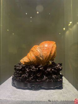 金獎奇石圖片欣賞_2020年獲金獎的奇石_獲金獎奇石