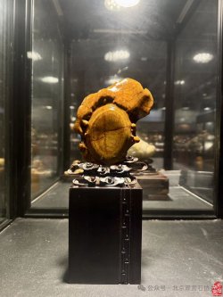 金獎奇石圖片欣賞_2020年獲金獎的奇石_獲金獎奇石