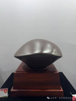 金獎奇石圖片欣賞_2020年獲金獎的奇石_獲金獎奇石