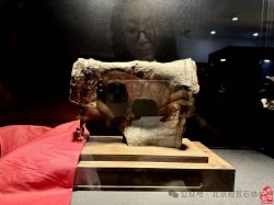 獲金獎奇石_2020年獲金獎的奇石_金獎奇石圖片欣賞