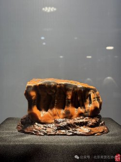 獲金獎奇石_金獎奇石圖片欣賞_2020年獲金獎的奇石
